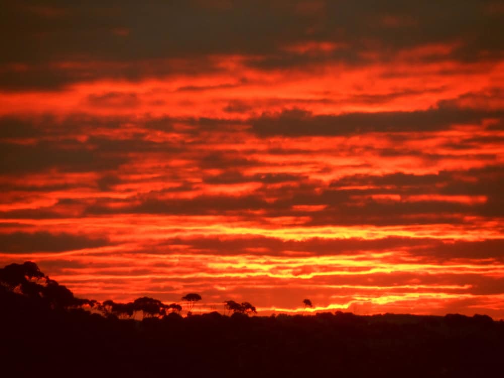 Lowlands WA Tourism Caloundra