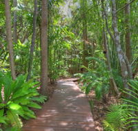 Montville Grove - Tourism Caloundra