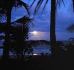 Sejala Beach Huts - Tourism Caloundra