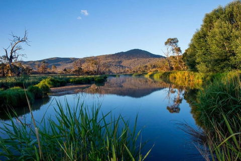 Snowy River Cabins - Tourism Caloundra 3