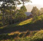 Bundle Hill Cottages - Tourism Caloundra