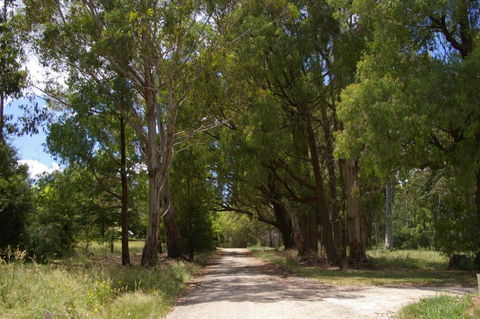 Stanley Goose Cottage - Tourism Caloundra 2