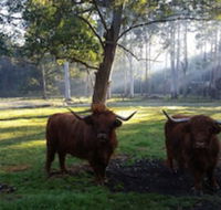 Dingley Dell - Tourism Caloundra