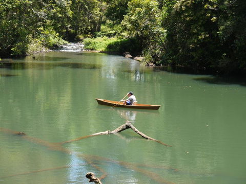 Figtree Getaway - Tourism Caloundra 3