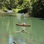 Figtree Getaway - Tourism Caloundra 0
