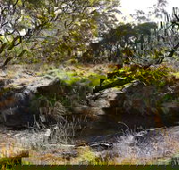 Green Gully House - Tourism Caloundra