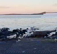 Hilton Motel - Tourism Caloundra