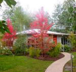 Dalrymples Guest Cottages - Tourism Caloundra