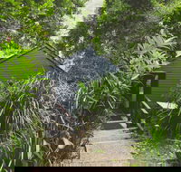 Montagues of Montville - Tourism Caloundra