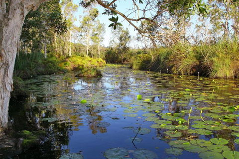 Salamander Bay Bed & Breakfast - Tourism Caloundra 3