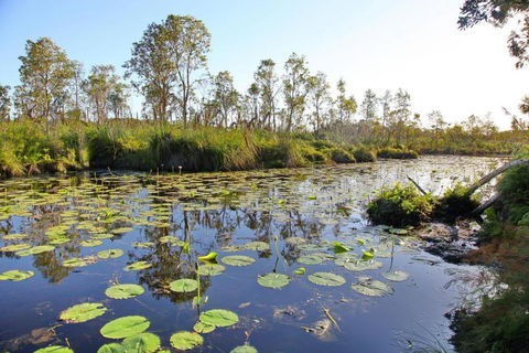 Salamander Bay Bed & Breakfast - Tourism Caloundra 4