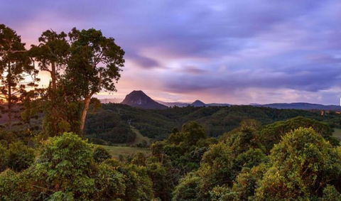 Cooroy Country Cottages - Tourism Caloundra 3