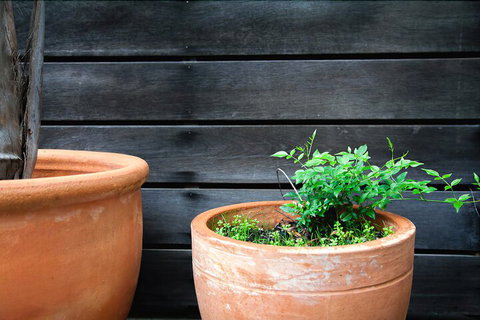 Perricoota Vines Retreat - Tourism Caloundra 3