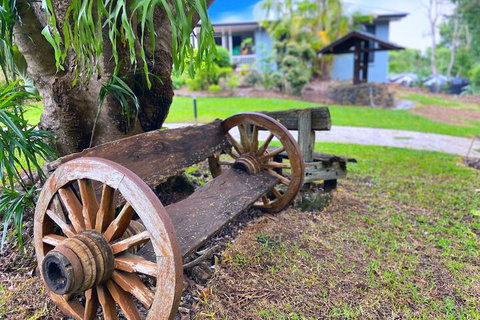 Clouds Mapleton - Tourism Caloundra 1