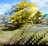 Bairnsdale Main Motel - Tourism Caloundra