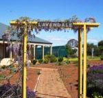 Lavendale Farmstay  Cottages York - Tourism Caloundra