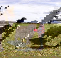 Taras Richmond Farmstay - Tourism Caloundra