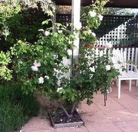 Ellesmere House - Tourism Caloundra