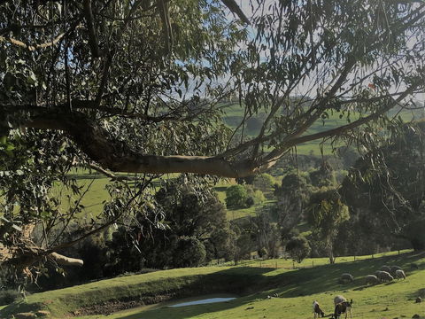 Balingup Highview Chalets - Tourism Caloundra 1