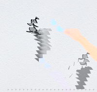 The Sails Motel Brunswick Heads - Tourism Caloundra