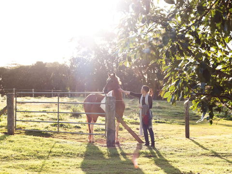 Bridle Guesthouse - Tourism Caloundra 6