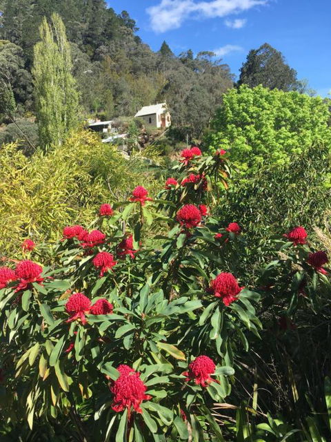 Stringers Cottage - Tourism Caloundra 1