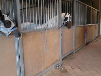 Cabarita Lodge - Tourism Caloundra 1