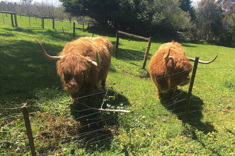 Neerim Country Cottages - Tourism Caloundra 2