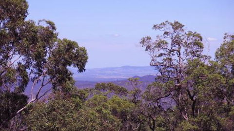 Ravensbourne Escape Cedar Lodge - Tourism Caloundra 5