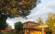 Poplars At Mittagong - thumb 4