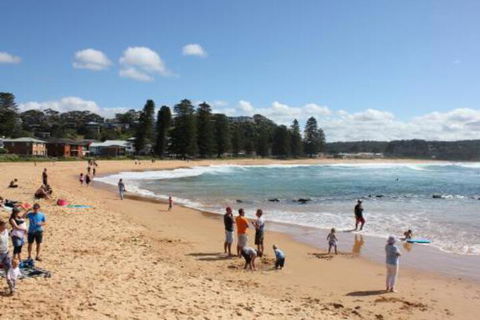 Avoca Beach Cape Cottage - Tourism Caloundra 0
