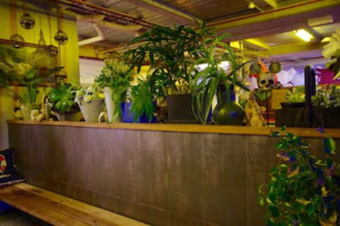 Sow And Piglets Guesthouse - Tourism Caloundra 0