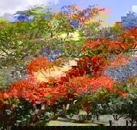 Eastwood Farm - Tourism Caloundra