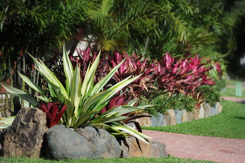 BIG4 Adventure Whitsunday Resort - Tourism Caloundra 5