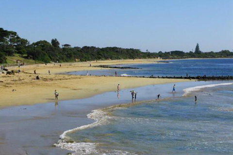 Roseneath Villa B & B - Tourism Caloundra 5