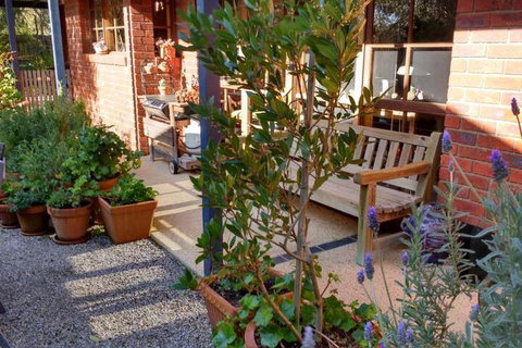 Roseneath Villa B & B - Tourism Caloundra 2