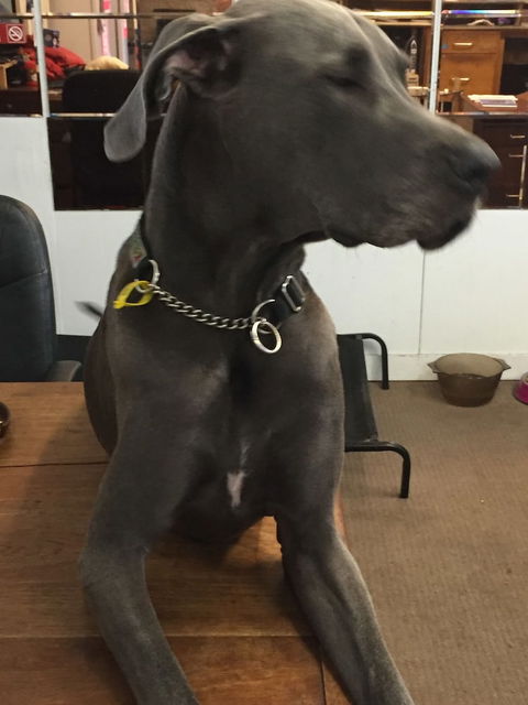 Capricornia Motel - Tourism Caloundra 4