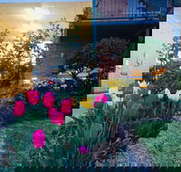 The Vines Motel and Cottages - Tourism Caloundra