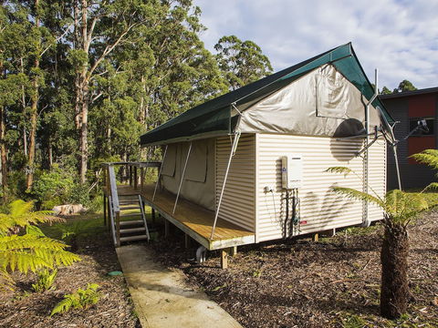 NRMA Port Arthur Holiday Park - Tourism Caloundra 4
