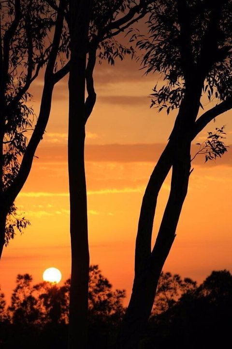 Bella Wind Bed & Breakfast - Tourism Caloundra 3