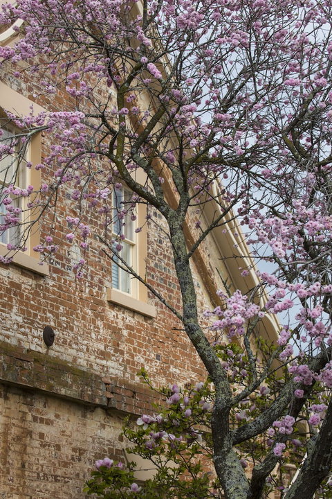 The Racecourse Inn - Tourism Caloundra 0