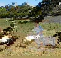 Country Cottages of Bridgetown - Tourism Caloundra