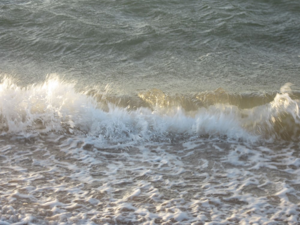 Dampier WA Tourism Caloundra