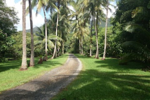 Cape Trib Farmstay - Tourism Caloundra 0