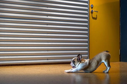 The Dome House - Tourism Caloundra 7