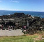 Sea Whispers - Tourism Caloundra