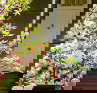 Apple Blossom Cottage - Tourism Caloundra