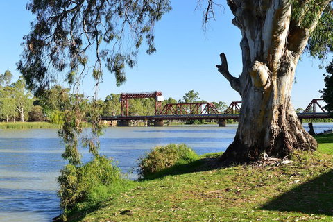 Riverbend Caravan Park Renmark - Tourism Caloundra 3