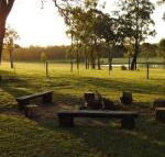 Wallaby Cottage cute Accom in bushland setting - Tourism Caloundra