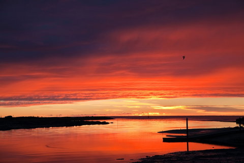 Coastal Pods Wynyard - Tourism Caloundra 1